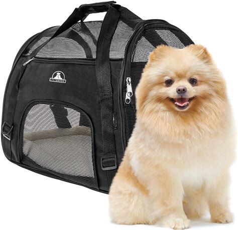 25 Best Small Dog Carriers - Every Creature Counts – Main