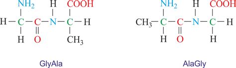 Dipeptide @ Chemistry Dictionary & Glossary