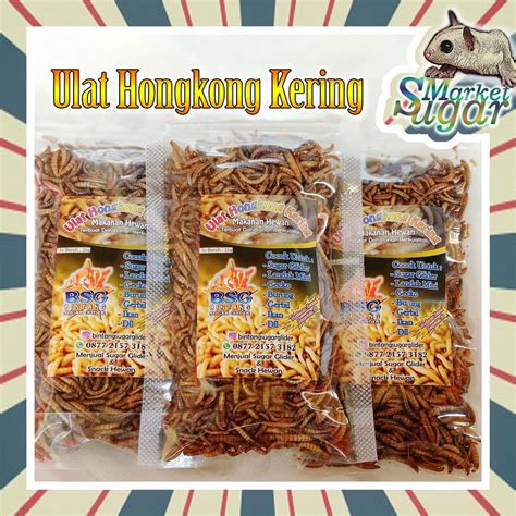 Jual Ulat hongkong kering - makanan hewan - cemilan hewan - sugar ...