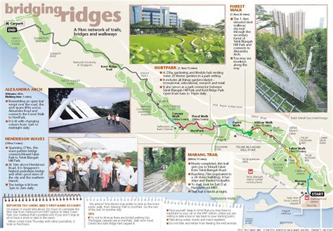 Southern Ridges Park Road - Singapore - Blog about interesting places