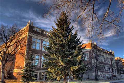 List of universities in Canada - Wikiwand