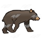 Abeka | Clip Art | Black Bear Cub—looking forward