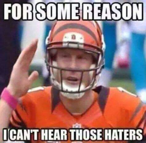 23 Bengals Fan MEMEs ideas | cincinnati bengals, bengals, football funny