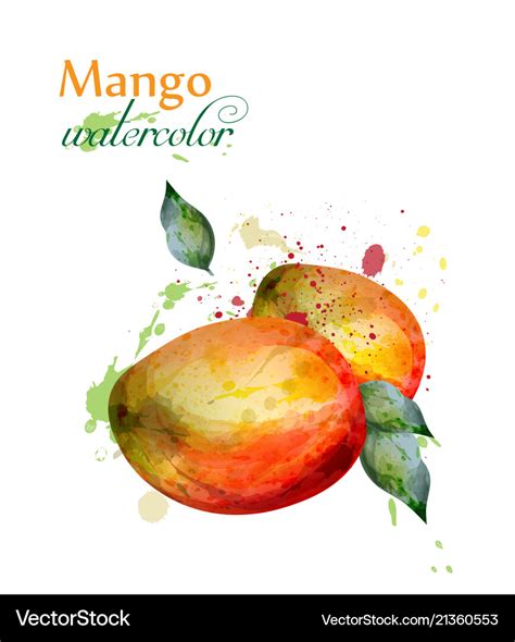 Mango fruit watercolor delicious colorful Vector Image