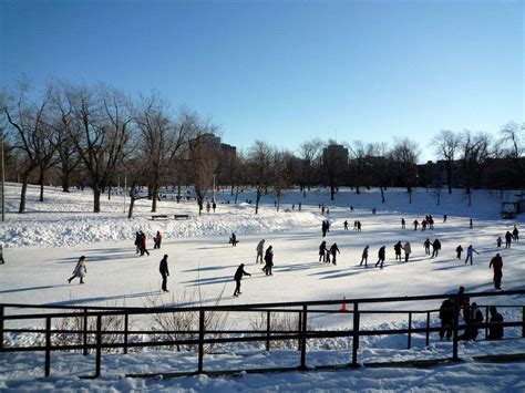 Free Winter Activities in Montreal