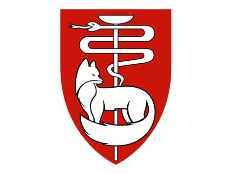 IDF Medical Corps at Southern Command Logo PNG vector in SVG, PDF, AI, CDR format