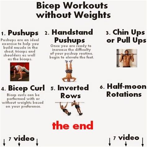 Back biceps workout routine - Bicep Workouts without Weights | Bicep workouts without weights ...