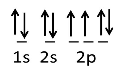 What is the orbital diagram for oxygen? | Homework.Study.com