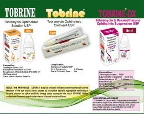 Tobramycin Eye Ointment, 15 gm, Packaging Type: 5GM at Rs 30/piece in ...