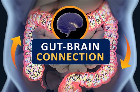 How Science Explains the Gut-Brain Connection - Dr. Matt James