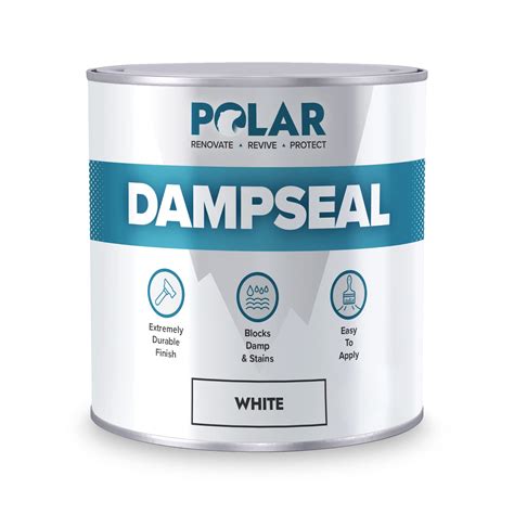 Buy Polar Anti Damp Paint White 500ml, Damp Proof Paint Stain Blocker ...