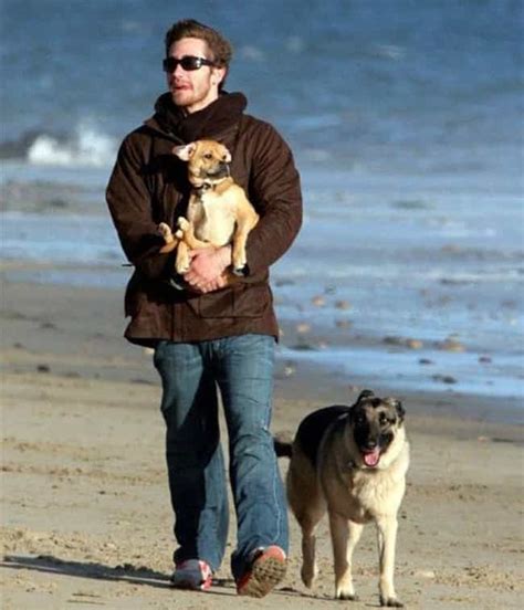 Celebrities Walking Their Dogs