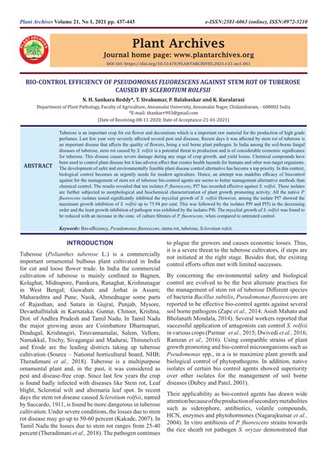 (PDF) BIO-CONTROL EFFICIENCY OF PSEUDOMONAS FLUORESCENS AGAINST STEM ...