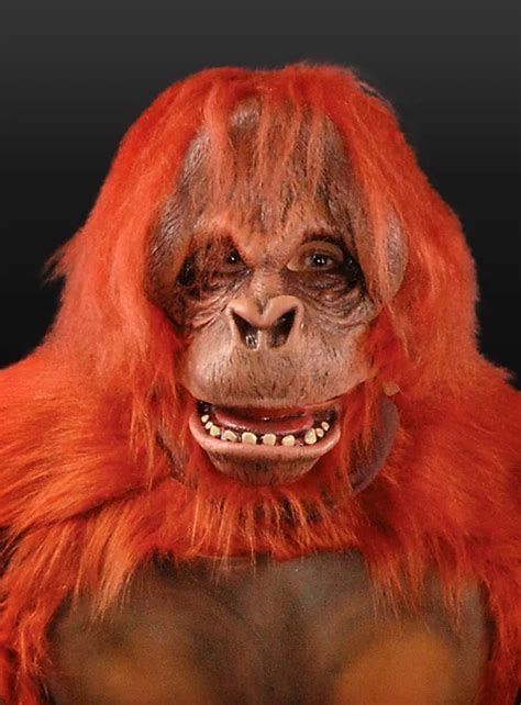 Orang-Utan Deluxe Maske - maskworld.com