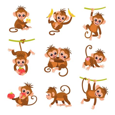 Premium Vector | Cute exotic monkey characters Cartoon funny little ...