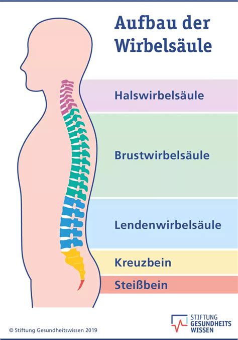 Didaktik und Methodik der Gesundheitsförderung - der Blog!: Die (Rück-) Entwicklung des Menschen ...