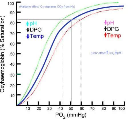 Haldane Effect - Definition, (Vs Bohr effect) and Mnemonic - Laboratoryinfo.com