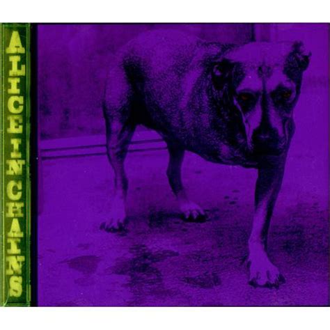 Alice In Chains – Alice In Chains (1995, Purple, DADC Pressing, CD ...