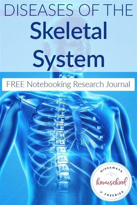 Diseases of the Skeletal System FREE Notebooking Research Journal ...