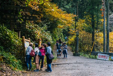 The Alternative Guide to Hiking Mount Takao | Tokyo Weekender