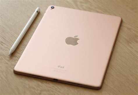 Apple iPad Mini Wi-Fi Only (2019 Model) in 2020 | Rose gold ipad, Ipad pro rose gold, Ipad pro