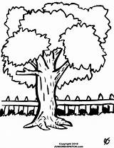 Backyard Coloring Pages sketch template