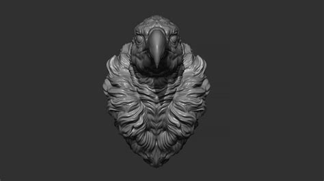 ArtStation - Vulture head | Resources