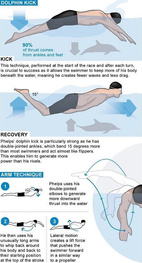 16 Best Butterfly Stroke Roundup images | Butterfly swimming, Swimming ...