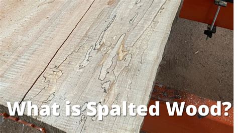 What is Spalted Wood? | Complete Guide To Spalted Maple & More