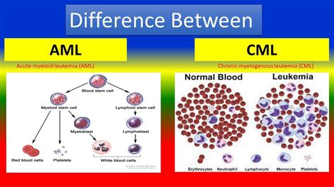 Difference Between AML and CML - YouTube