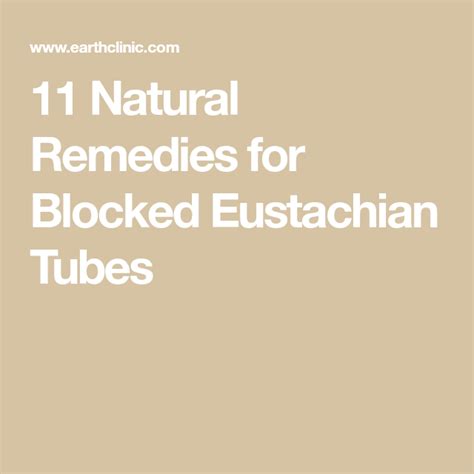 11 Natural Remedies for Blocked Eustachian Tubes | Eustachian tube dysfunction, Natural remedies ...