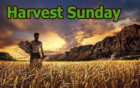 Harvest Sunday (Sunday October 3rd, 2021) - Christ the King