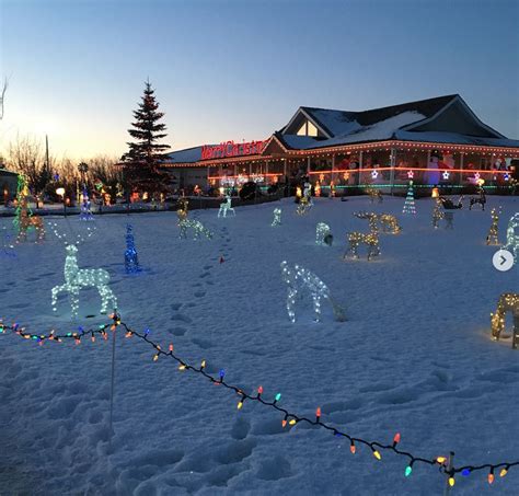 8 Places to See Beautiful Christmas Lights in Canada - London Drugs Blog