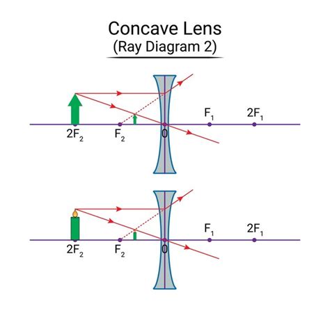 Premium Vector | Concave lens ray diagram 2