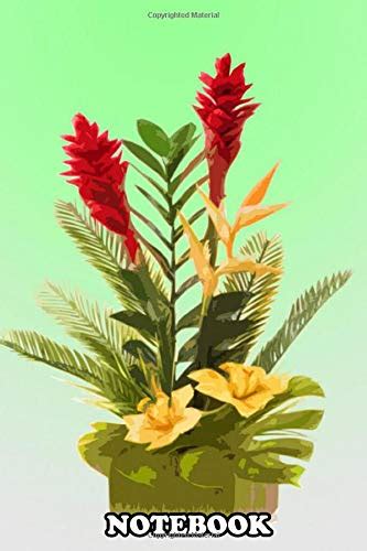 Flower Vases Illustration - Decor For You