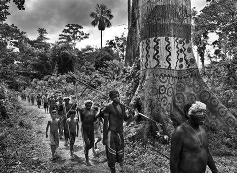 Brazil declares public health emergency for Yanomami people in Amazon - Democratic Underground