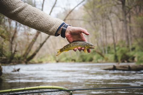 7 Tips to Improve Your Fly Fishing Photography - Flylords Mag