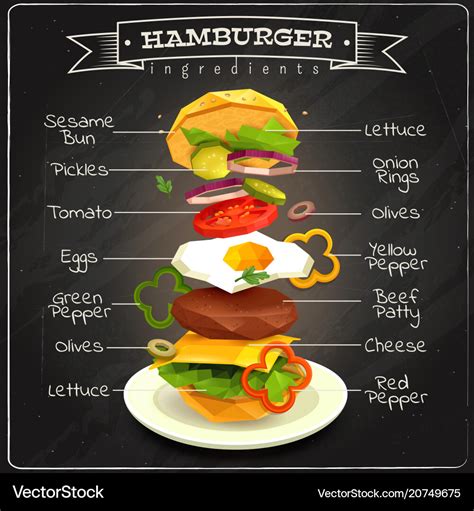 Hamburger ingredients infographics Royalty Free Vector Image