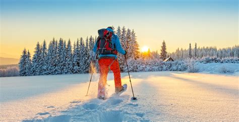 12 places to go snowshoeing near Toronto | Daily Hive Toronto