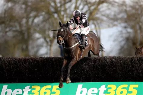 Horse Power: Sam's Adventure can win the Peter Marsh Chase at Haydock ...