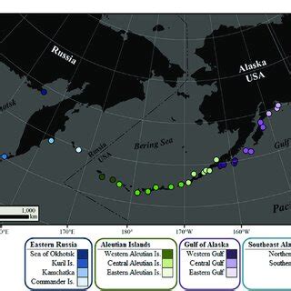 Steller sea lion natal rookeries (dots) sampled in this study. Pups... | Download Scientific Diagram