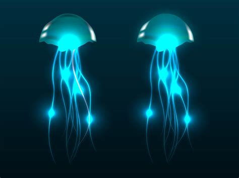 Jellyfish Vectors Vector Art & Graphics | freevector.com