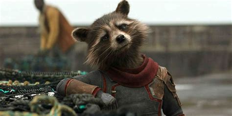 Guardians of the Galaxy's James Gunn Debunks Adam Sandler/Rocket Raccoon Factoid