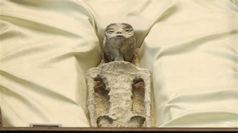 1,000-year-old 'alien corpses' displayed in glass cases in Mexico ...