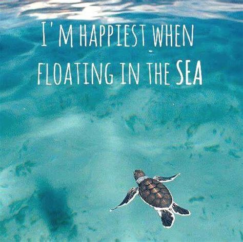 Turtle Quotes. QuotesGram