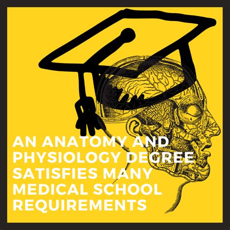 What Can I Do with an Anatomy and Physiology Degree? - DegreeQuery.com