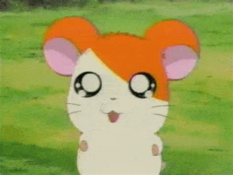 Hamtaro Ahem GIF - Hamtaro Ahem Cough - Discover & Share GIFs