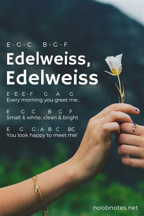 Edelweiss - Rodgers and Hammerstein - music notes for newbies | Piano notes songs, Piano songs ...