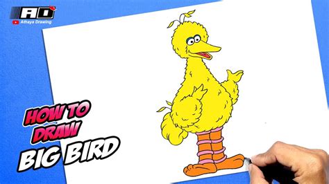 How to draw Big Bird from Sesame Street - YouTube