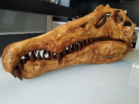 Spinosaurus Dinosaur Skull (CAST) | ubicaciondepersonas.cdmx.gob.mx